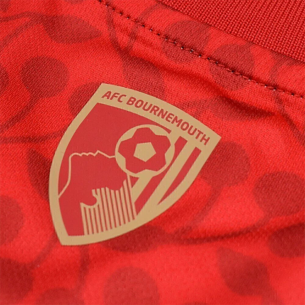 Man's Jersey Bournemouth Pre-match II - 24/25